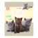 Тетрадь «Забавные котята», 12 листов, косая линейка, ассорти, 12-3530