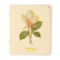 Тетрадь «Золотые цветы», 48 листов, клетка, ассорти, 7-48-162
