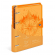 Тетрадь "Neon. Orange", 120 листов клетка, пластиковая обложка, на кольцах со сменным блоком, с наклейками, LXNBBS-NNO