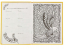 Ежедневник-антистресс недатированный А5, «Животные, птицы, насекомые», линия, 56 листов, ламинированная твердая обложка, 56-1238