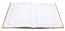 Дневник школьный 5-11 класс для девочек  «Нарядный енот», твердая обложка, 33214