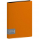 Папка с файлами 100 листов "Color zone", оранжевая, 1,0 мм, Berlingo AVp_100116