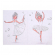 Набор для рисования «Балерины», раскраска 3 штуки, краски, кисть, тату, ЛУЧ 30С1925