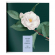 Тетрадь «Изящные цветы», 48 листов, клетка, ассорти, ТОК48-ИЦ