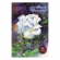 Планшет для акварели А5 «Белая роза», 20 листов, 260 г/м2, палевая лен, ПЛ-8000