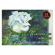 Планшет для акварели А2 «Белая роза», 20 листов, 260 г/м2, палевая лен, ПЛБР/А2