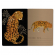 Тетрадь «Леопард», 40 листов, клетка, ассорти, 7-40-001/68