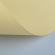 Бумага для пастели 500*650 мм, 160 г/м2, 1 лист, сахара, 52551004